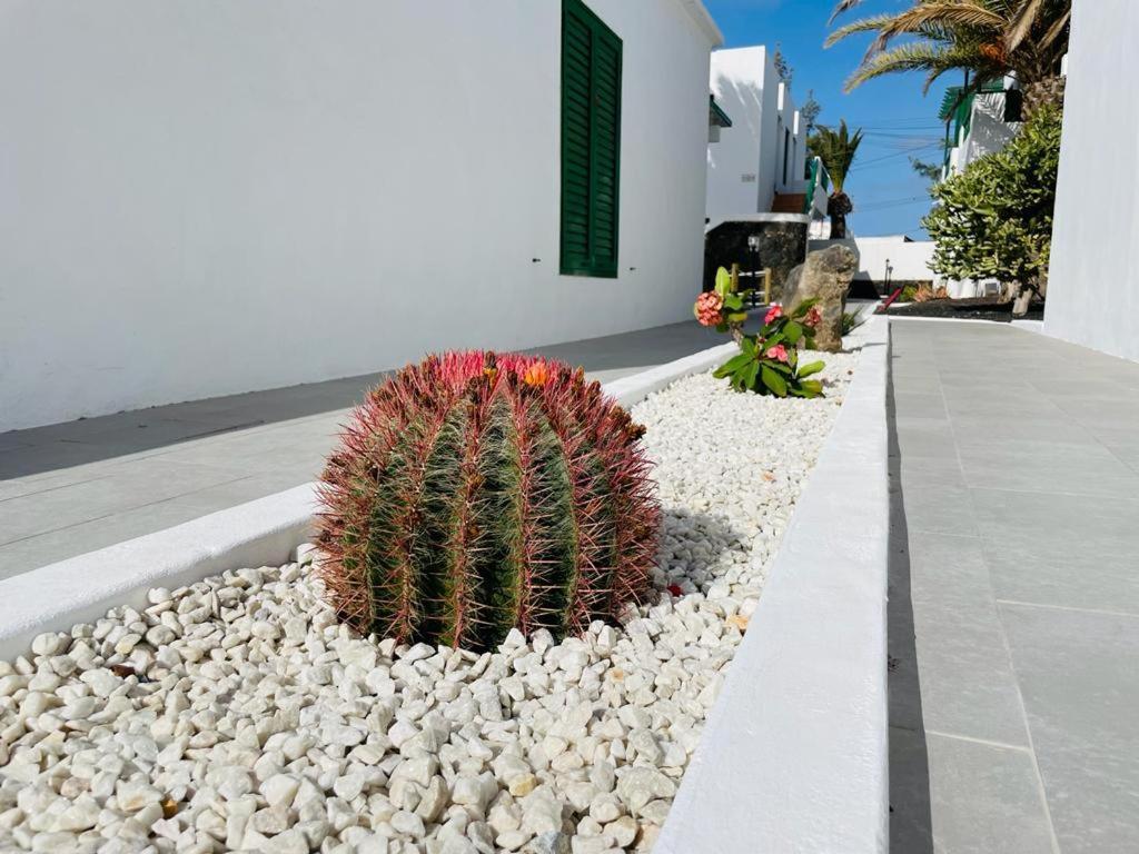 Casa Adelfa Apartment Puerto del Carmen  Exterior photo